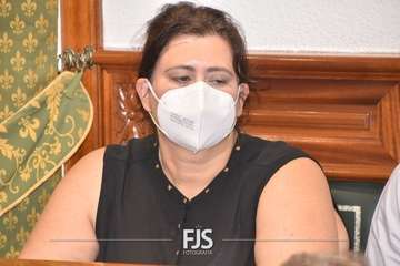 Pleno ordinario de julio de 2022/Francisco Javier Santana.